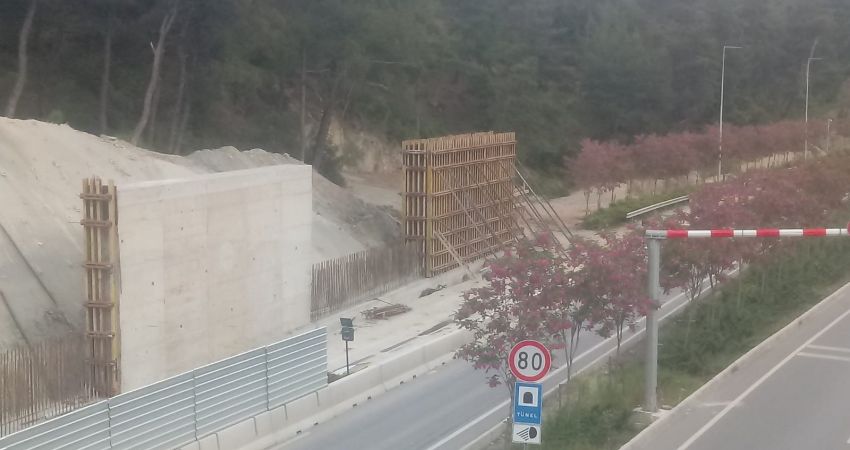 Endüstriyel Tip Perde Ve Kolon Kalıpları